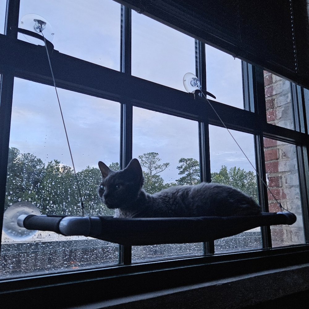 Meet your Posher, Ash